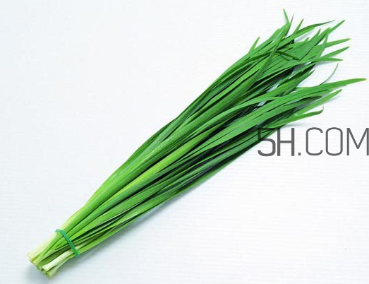 秋天吃韭菜好嗎？韭菜和莧菜能一起吃嗎？