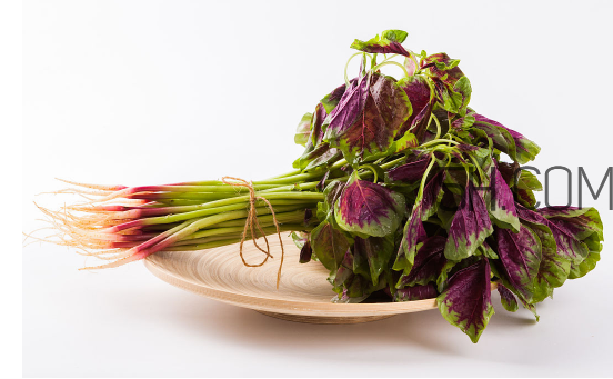 秋天吃韭菜好嗎？韭菜和莧菜能一起吃嗎？