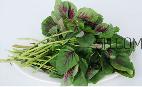 莧菜為什么是紅的？莧菜是涼性的嗎？