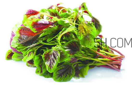 莧菜為什么是紅的？莧菜是涼性的嗎？