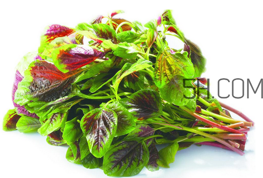 莧菜是酸性還是堿性？吃莧菜有什么好處？