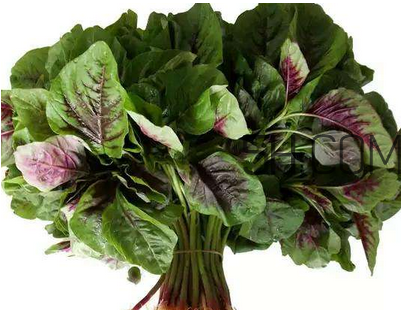 莧菜是酸性還是堿性？吃莧菜有什么好處？