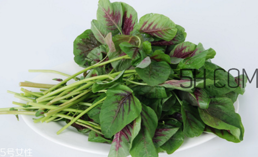 上火能吃咸莧菜嗎？寶寶能吃莧菜嗎？