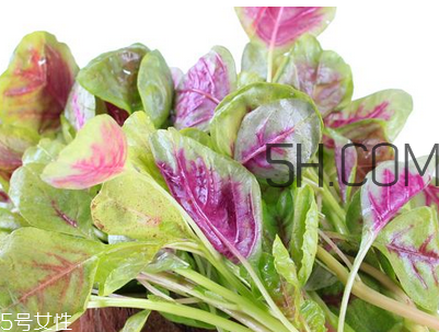 上火能吃咸莧菜嗎？寶寶能吃莧菜嗎？