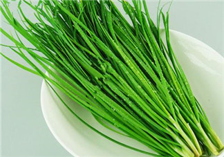 立秋后可以種韭菜嗎？怎樣種韭菜？