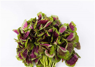 上火能吃咸莧菜嗎？寶寶能吃莧菜嗎？