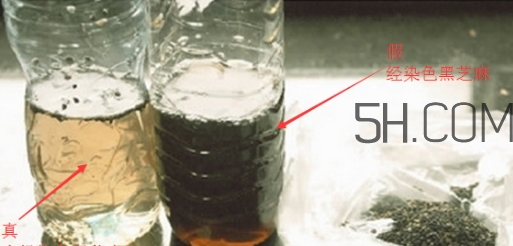 黑芝麻清洗掉色正常嗎？黑芝麻有黑色素嗎？