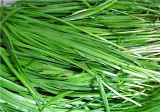 秋天吃韭菜好嗎？韭菜和莧菜能一起吃嗎？
