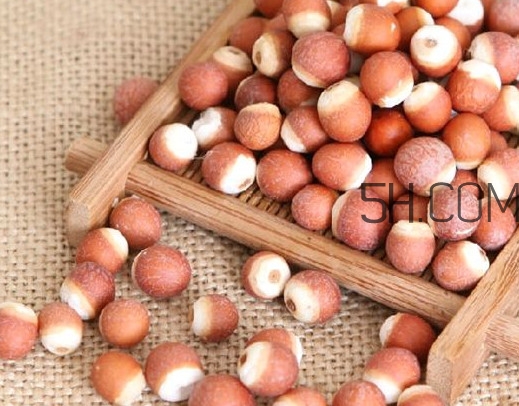 芡實(shí)營養(yǎng)價(jià)值有哪些？芡實(shí)哪里的最好