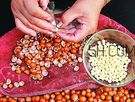 芡實有什么作用？芡實是哪里的特產(chǎn)