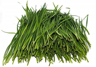 挑選韭菜的要點 野韭菜的吃法