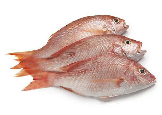 鯛魚多少錢一斤？鯛魚魚骨有什么營養(yǎng)價值