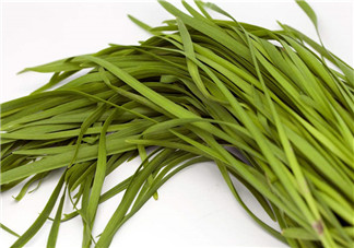 吃韭菜胃疼怎么回事？吃韭菜要注意的禁忌問(wèn)題