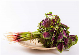 莧菜為什么是紅的？莧菜是涼性的嗎？
