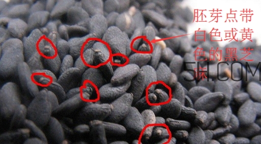 黑芝麻清洗掉色正常嗎？黑芝麻有黑色素嗎？