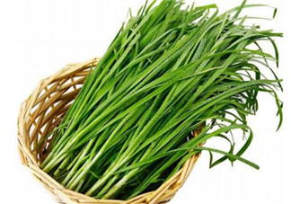 韭菜種植條件有哪些？韭黃和韭菜的區(qū)別