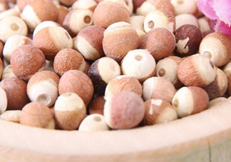 芡實(shí)是中藥嗎？芡實(shí)哪里可以買到