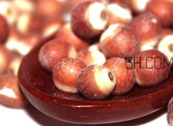 芡實(shí)營養(yǎng)價(jià)值有哪些？芡實(shí)哪里的最好