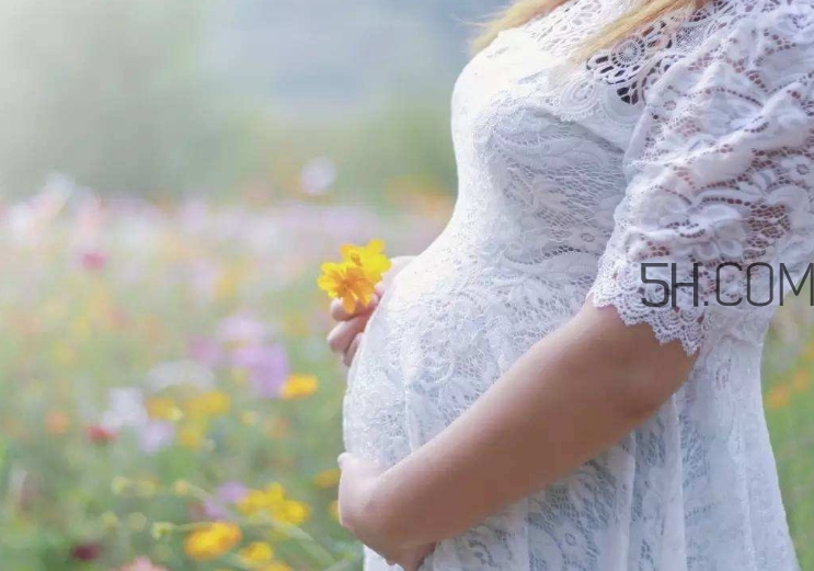 孕酮是什么？孕酮是黃體酮嗎？