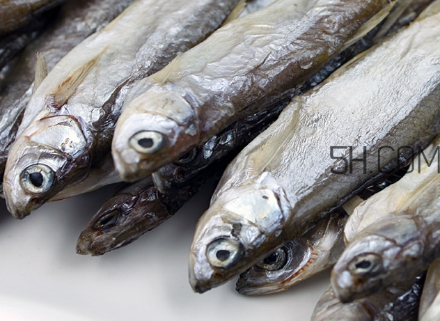 刁子魚是淡水魚嗎？刁子魚怎么釣