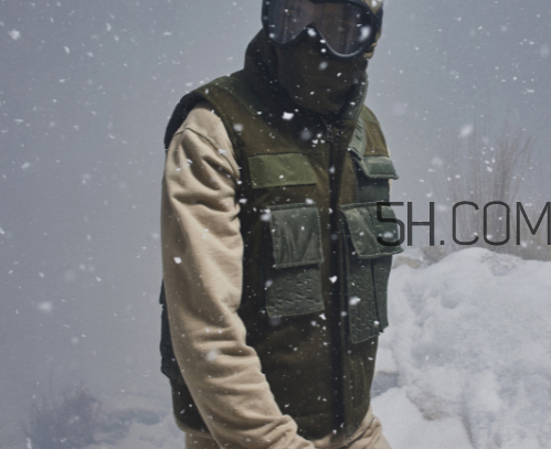 maharishi2017秋冬系列怎么樣_好看嗎？