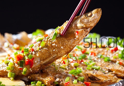 刁子魚是什么魚？刁子魚是翹嘴鲌嗎