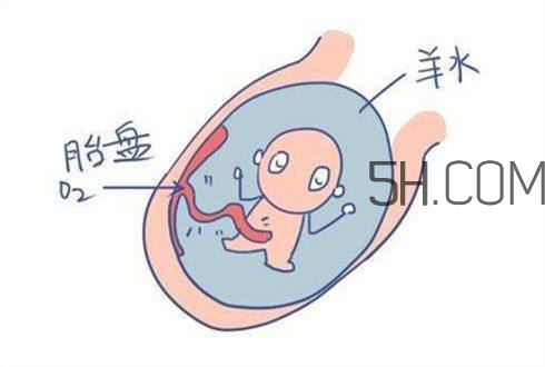 怎么防止羊水早破？羊水早破的危害