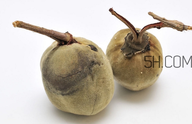 猴面包樹(shù)生長(zhǎng)在哪里？猴面包樹(shù)名字的由來(lái)