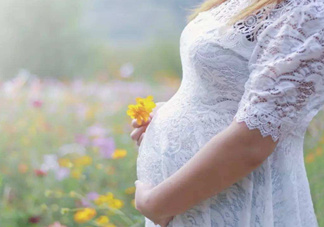 孕酮是什么？孕酮是黃體酮嗎？