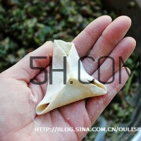餃子和面用熱水還是冷水？餃子和面要醒多長(zhǎng)時(shí)間？