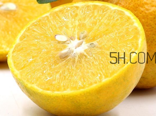 沙糖桔好還是貢柑好？貢柑屬于桔子還是橙子