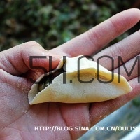 餃子和面用熱水還是冷水？餃子和面要醒多長(zhǎng)時(shí)間？