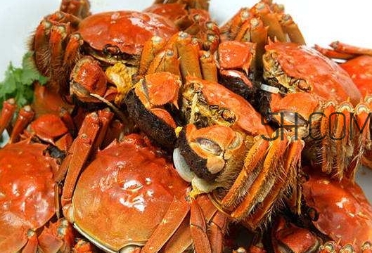 孕婦吃螃蟹多久流產(chǎn)？孕婦吃多少螃蟹會流產(chǎn)？