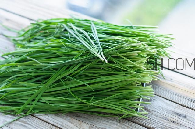 怎么包餃子快又好看？十種家常包餃子的方法~