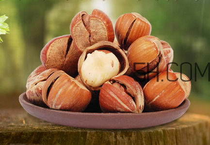 榛子和板栗有什么區(qū)別？榛子和板栗哪個(gè)貴？