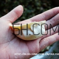 餃子和面用熱水還是冷水？餃子和面要醒多長(zhǎng)時(shí)間？