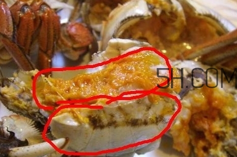 螃蟹的屎在哪里？螃蟹的屎和蟹黃怎么分辨？
