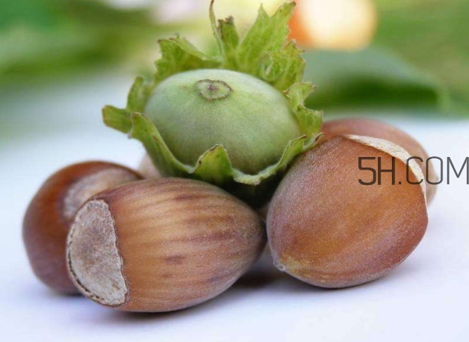 榛子生吃好還是熟吃好？榛子怎么吃營養(yǎng)價值高？