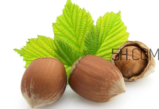 榛子的皮可以吃嗎？榛子的皮怎么處理？