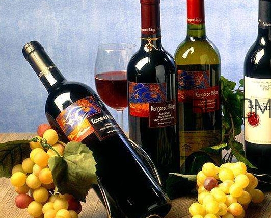 小孩能不能喝葡萄酒？高血糖能不能喝葡萄酒