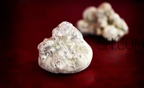 白松露一公斤多少錢？白松露到底有多貴有多好呢