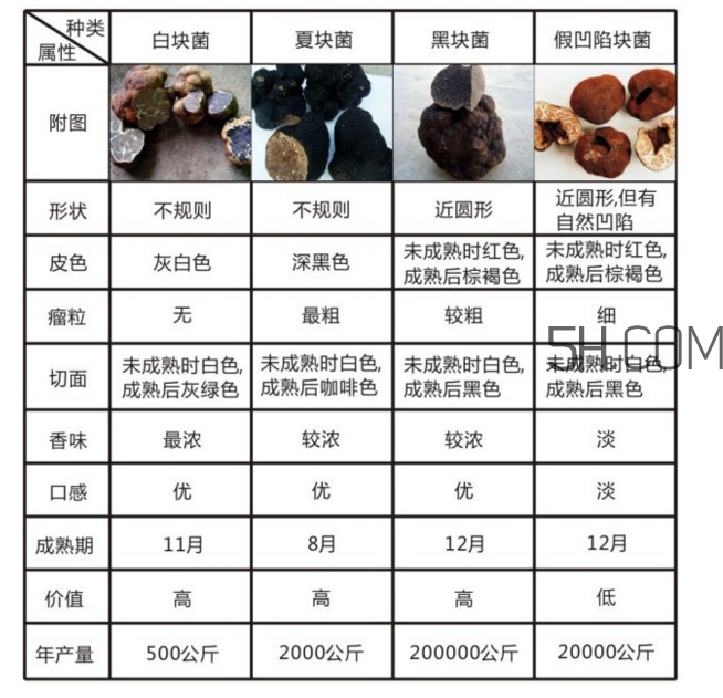 松露怎么分辨真假？松露怎么清洗