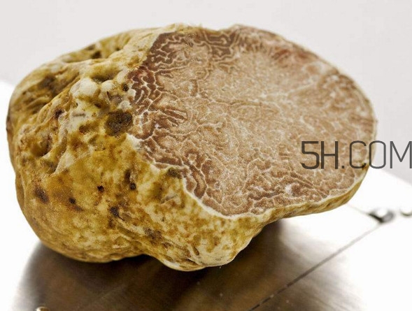 白松露一公斤多少錢？白松露到底有多貴有多好呢