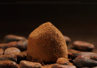 松露巧克力哪個牌子好？松露巧克力多少錢一盒