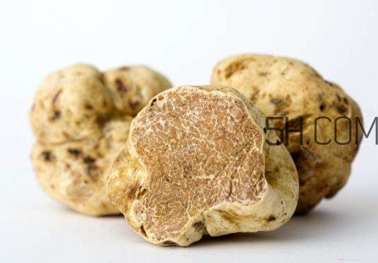 松露怎么分辨真假？松露怎么清洗