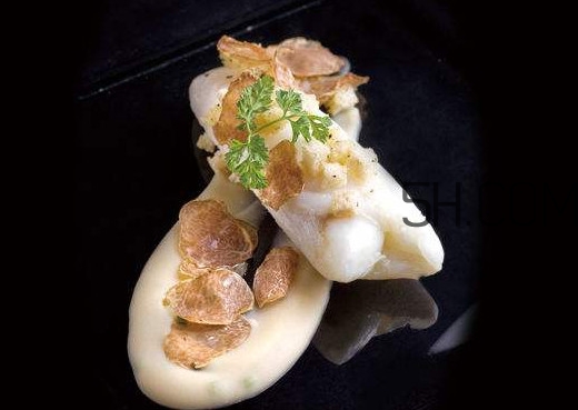 白松露是什么？白松露的功效與作用