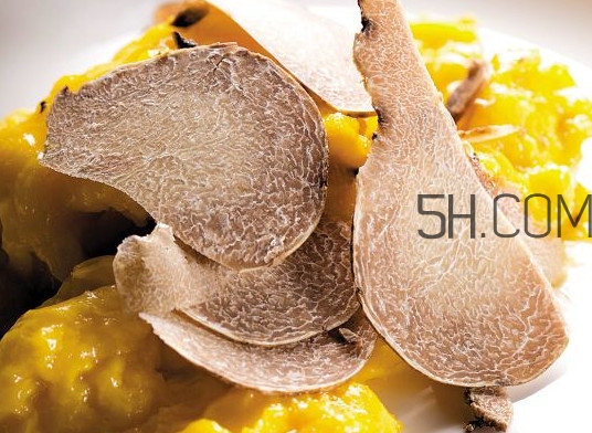 白松露怎么吃？白松露可以曬干保存嗎