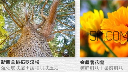 the saem得鮮眼霜適合什么年齡？得鮮眼霜怎么樣？