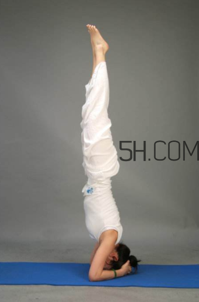 倒立多久可以瘦肚子？倒立能夠瘦腿嗎？