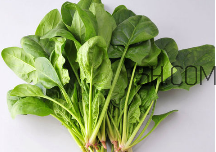 什么是無氧運(yùn)動？減脂餐食譜大全